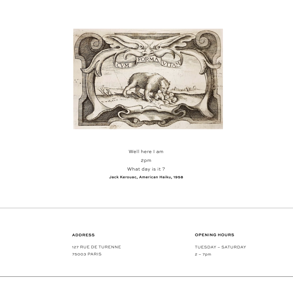 Foto Creazione siti web a Roma, per galleria d'arte : Forma