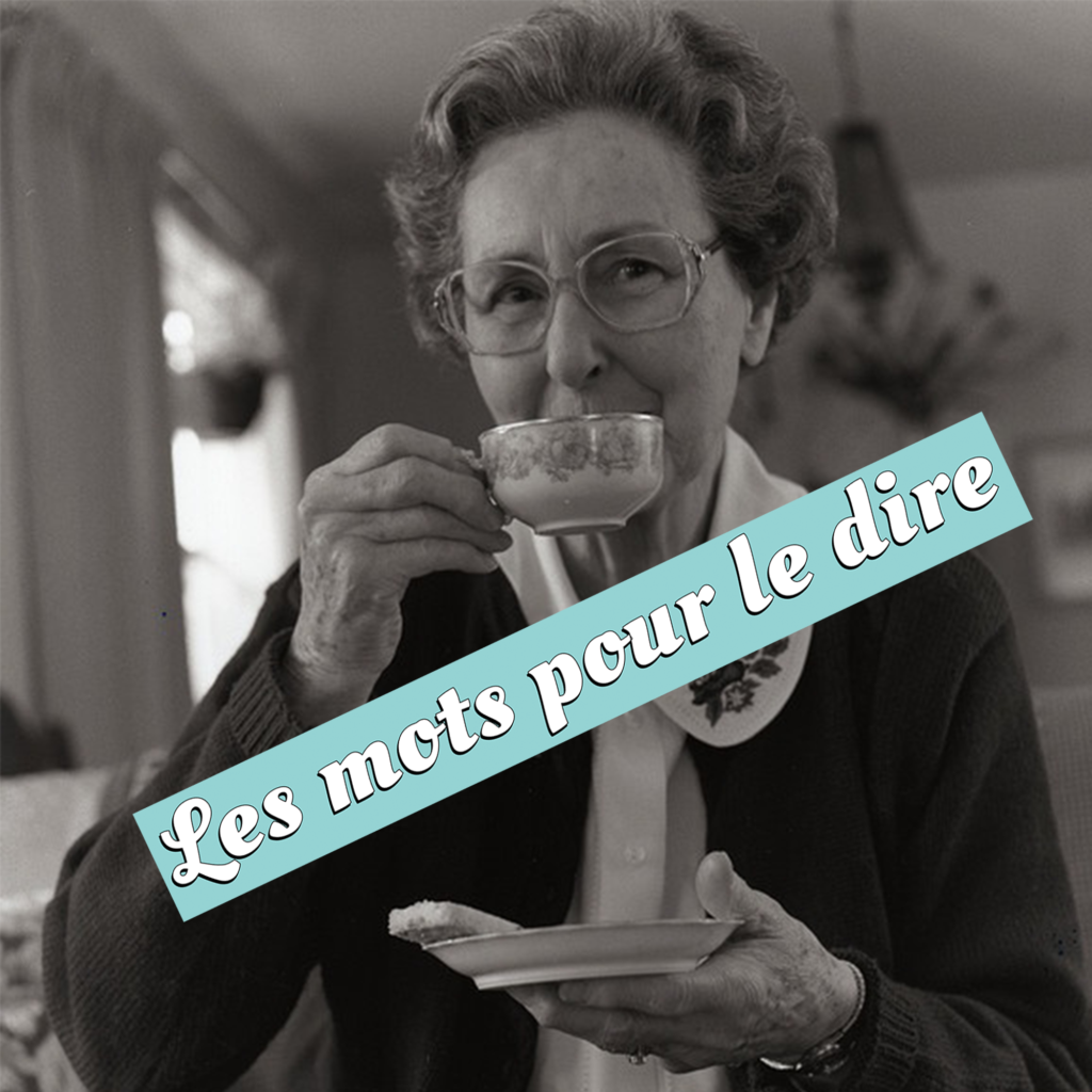 agenzia web a Roma, Foto illustrazione di : realizzazione siti internet a Roma, per "les mots pour le dire"