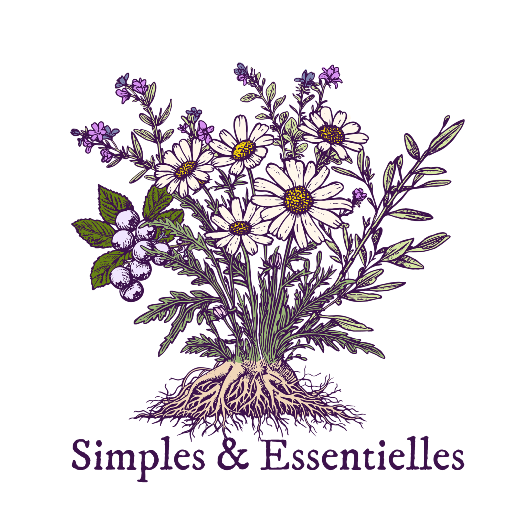 Foto Creazione siti web a Roma, per il sito "Simples et essentielles"