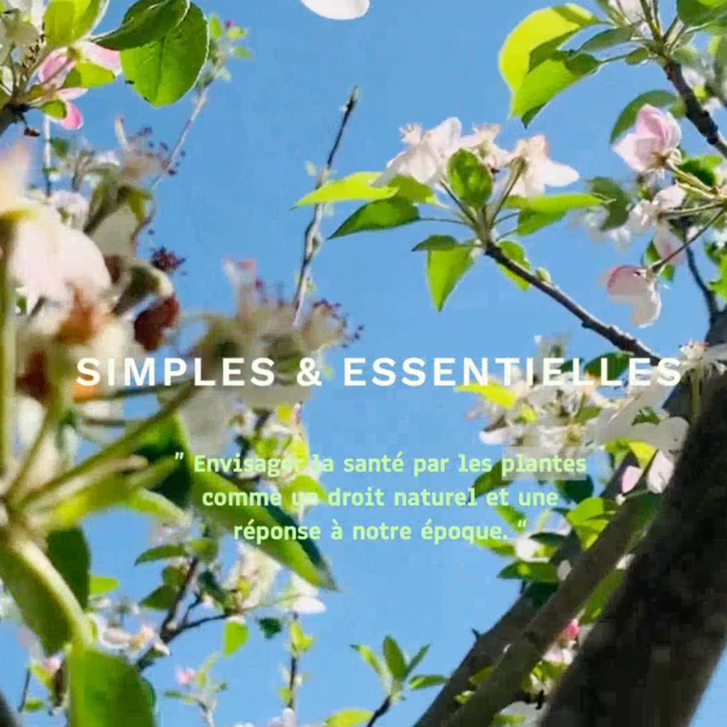 Foto Creazione siti web a Roma, per il sito "Simples et essentielles"